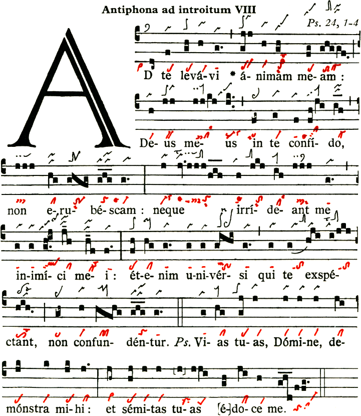 Introitus für die 1. Advents-Woche: "Ad te levavi animam meam", der erste Gesang des Graduale Triplex