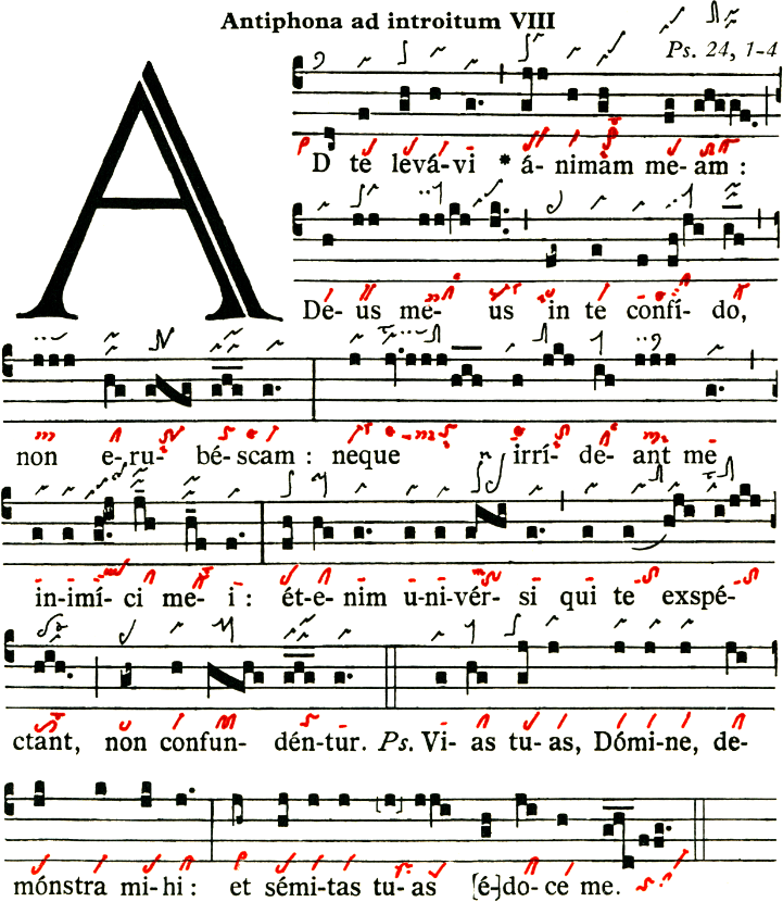 Introitus für die 1. Advents-Woche: "Ad te levavi animam meam", der erste Gesang des Graduale Triplex Introitus für die 1. Advents-Woche: "Ad te levavi animam meam", der erste Gesang des Graduale Triplex